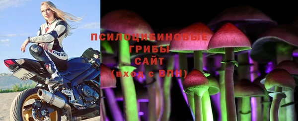 гашик Лихославль