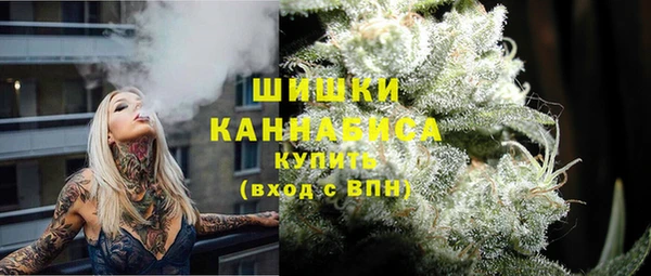 Альфа ПВП Лиски