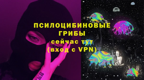 Альфа ПВП Лиски