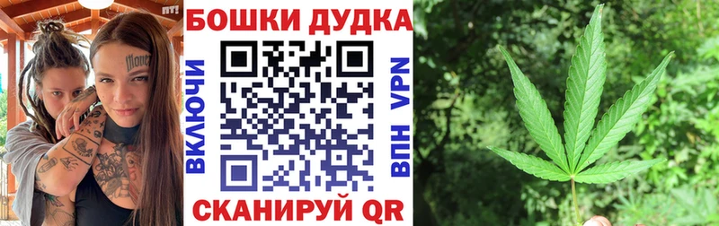 Бошки Шишки THC 21%  купить закладку  Южа 
